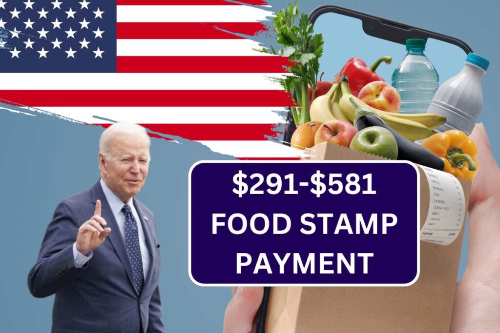 $291-$581 Food Stamp Payment In August 2024 - Check dates & Eligibility