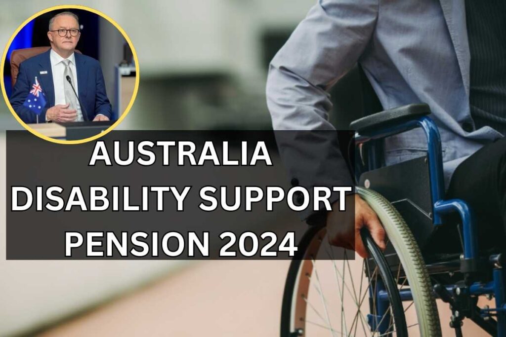 Australia Disability Support Pension 2024