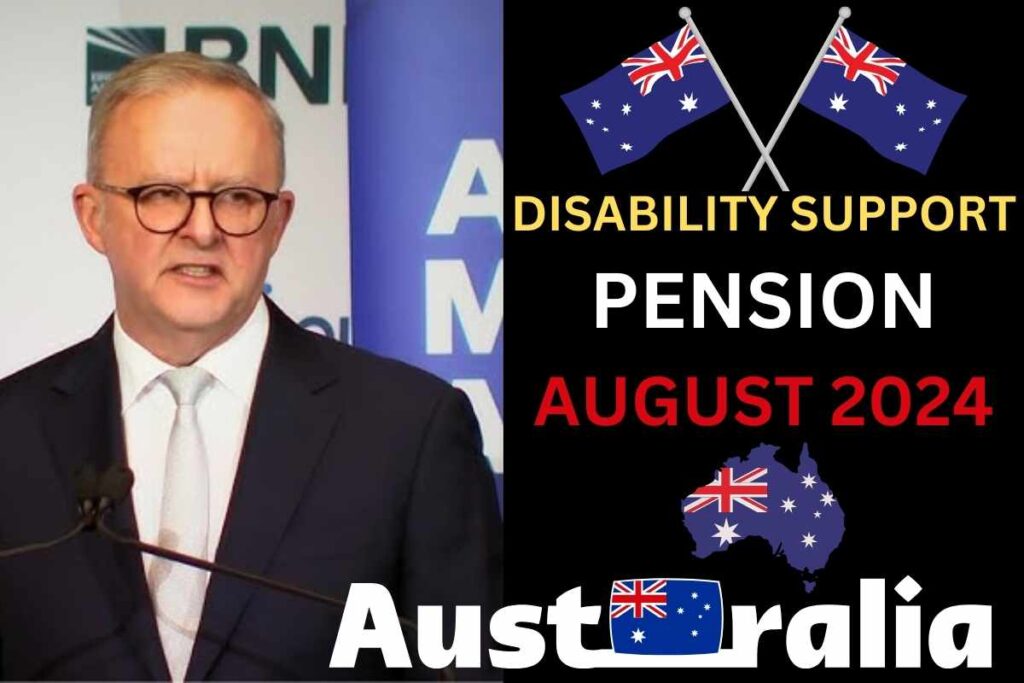 Australia Disability Support Pension In August 2024