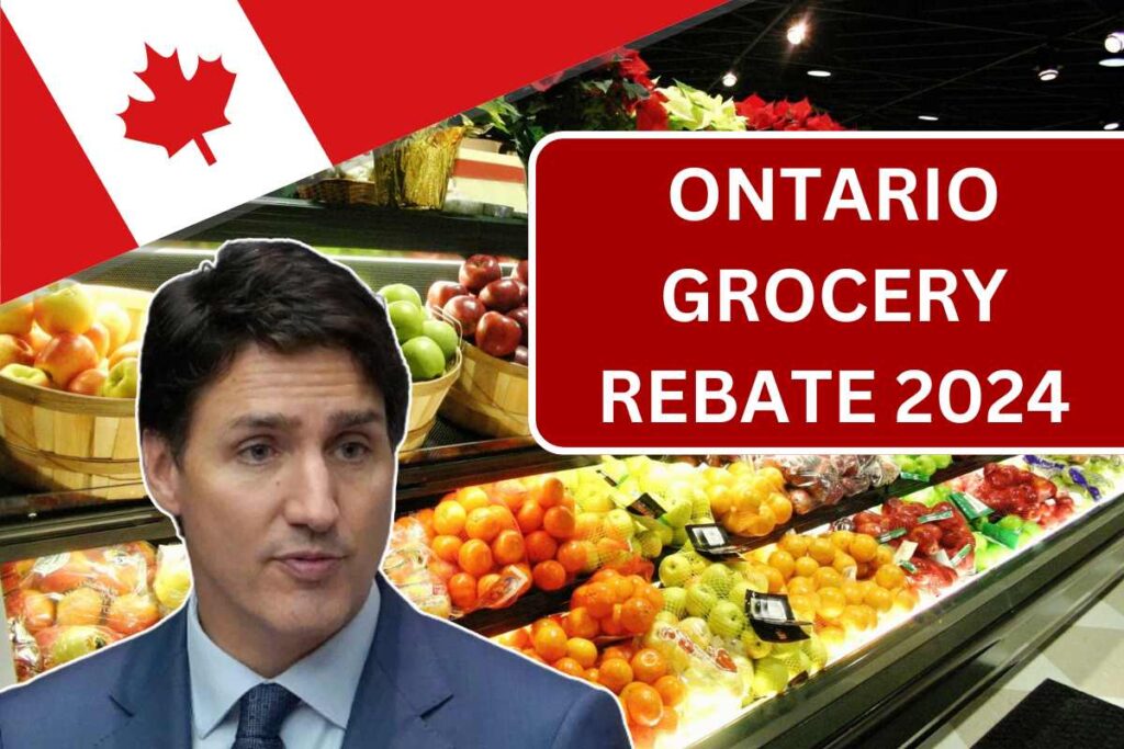 Ontario Grocery Rebate 2024