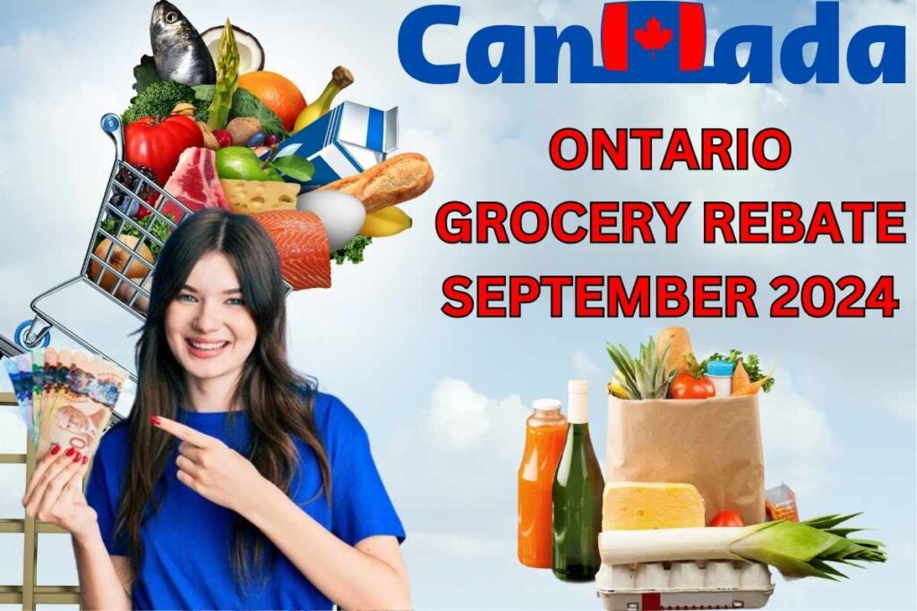 Ontario Grocery Rebate September 2024