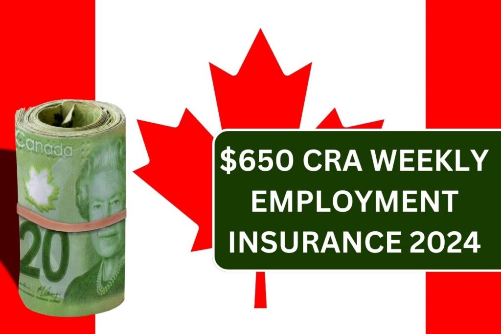 $650 CRA Weekly Employment Insurance 2024, Know Eligibility