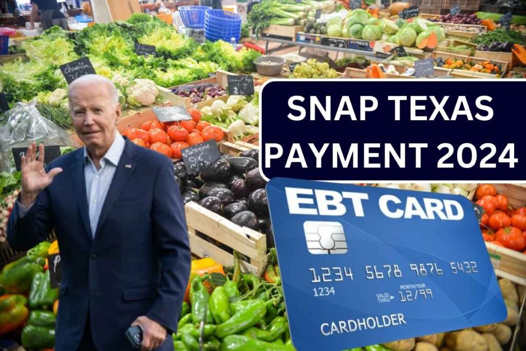 SNAP Texas Payment 2024, Check payment Schedule, Amount & Eligibility